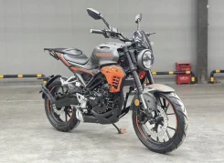 Regulmoto Nibbler. 300����. ��., ��������, ���������, ��� ������� ����