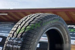 RoyalBlack Royal Snow. ������, ��� �����, 2025 ���, ����� ����
