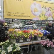 .   ..  ,   , ,   43 