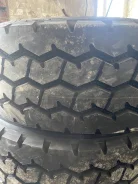 Advance GL670T. �����������, 2026 ���, ����� ����