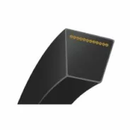 ������ �������� AV10x790 AV10X790 ����