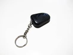Black Bug. ����