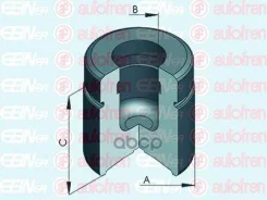 ������� ���������� �������� ��� Autofren Seinsa ���. D025497 D025497 ����