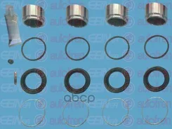 �����������, ��������� ������� Autofren Seinsa ���. D42109C D42109C ����