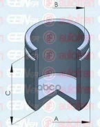 ������� ���������� �������� ����� Autofren Seinsa ���. D025213 D025213 ����