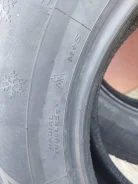 Toyo Proxes NE. ������, 2024 ���, �/�, ����� �� 5 % ����
