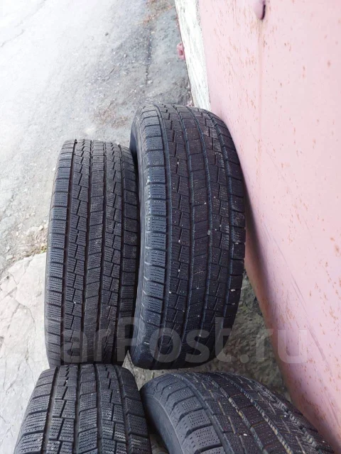 Toyo Proxes NE. ������, 2024 ���, �/�, ����� �� 5 % ����