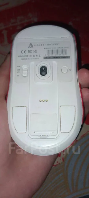 ���� �������. ����