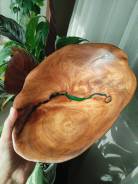 �����. ����