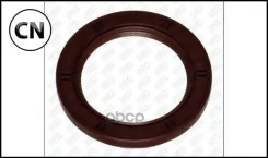 ������� ��������� �������� Ajusa 15049400 15049400 ����