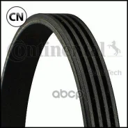 ������ ������������ Contitech Contitech 4PK1015 4PK1015 ����