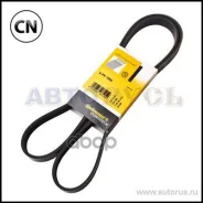 ������ ������������ Avantech Avantech 6PK1560 6PK1560 ����