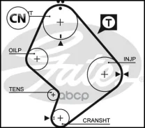 ������ �������� 5214XS 129 x 31 (8597-15214) Gates 5214XS 5214XS ����
