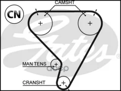 ������ ��� 5448XS 76133x1 Gates 5448XS 5448XS ����