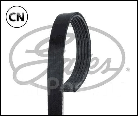 ������ ������������ Avantech Avantech 5PK1645 5PK1645 ����