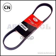 ������ ������������ 6PK883 XF Gates 6PK883 6PK883 ����
