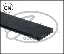 ������ ������������ Gates 6PK955 6PK955 ����