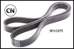 ������ ������������ DV5PK0975 JapanParts DV5PK0975 DV5PK0975 ����