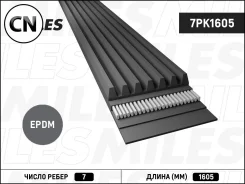 ������ ������������ Miles 7PK1605 7PK1605 ����