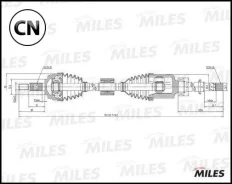 ������ � ����� �������� ������ Miles GC02162 GC02162 ����