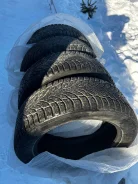 Nokian Hakkapeliitta 09. ������, ����������, 2017 ���, �/�, ����� 50 % ����