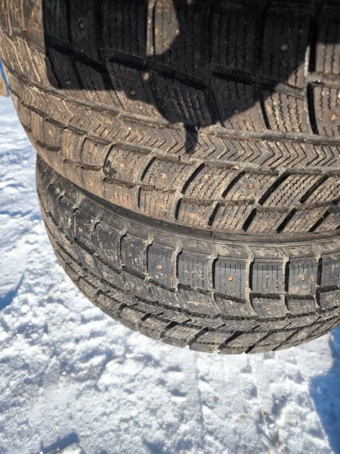 Dynamo Snow-H MWH03. ������, 2022 ���, �/�, ����� �� 5 % ����