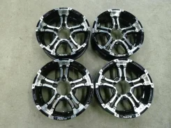 RAYS Team Daytona FDX-J