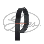 ������ ���������� Gates 5 PK 1090 5PK1090 ����