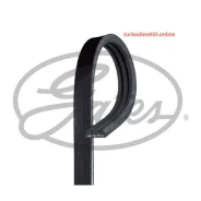 ������ ���������� Gates 3 PK 853 3PK853 ����