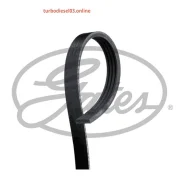 ������ ���������� Gates 4 PK 1170 4PK1170 ����