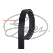 ������ ���������� Gates 5 PK 880 5PK880 ����