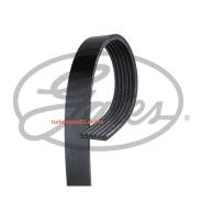 ������ ���������� Gates 6 PK 2245 Gates 6PK2245 6PK2245 ����