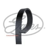������ ���������� Gates 6 PK 1530 6PK1530 ����