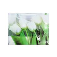 ����� ��������. 27*21*11�� ��� �������� ������-������� ���/�����.����� GT 1�� DVL ����