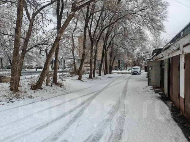 ���� ����� � ������ ����