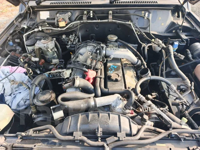 Nissan Safari. WRGY60, TD42T ����