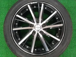 Kyoho Steiner SF-V