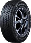 GT Radial WinterPro2