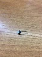 ������ �������� �������� - 6 ����