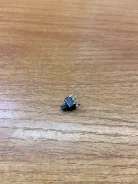 ������ �������� �������� - 19 ����