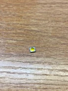 ������ �������� �������� - 62 ����