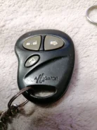 Alligator. ����