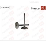 ������ �������� VAG PF/RV/DX/ JJ 77BV003 77BV003 ����
