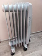 ������������ ��������. ����