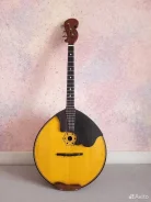 �����. ����