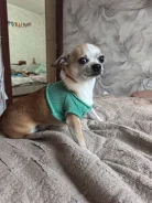 ��������. ����