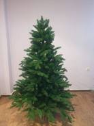 ����. ����