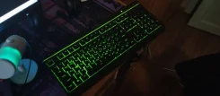 ����������. ����