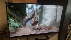 Sber SDX-32F2139. OLED ����