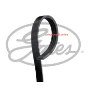 ������ ������������ XF 48365 Gates 4PK1003 4PK1003 ����